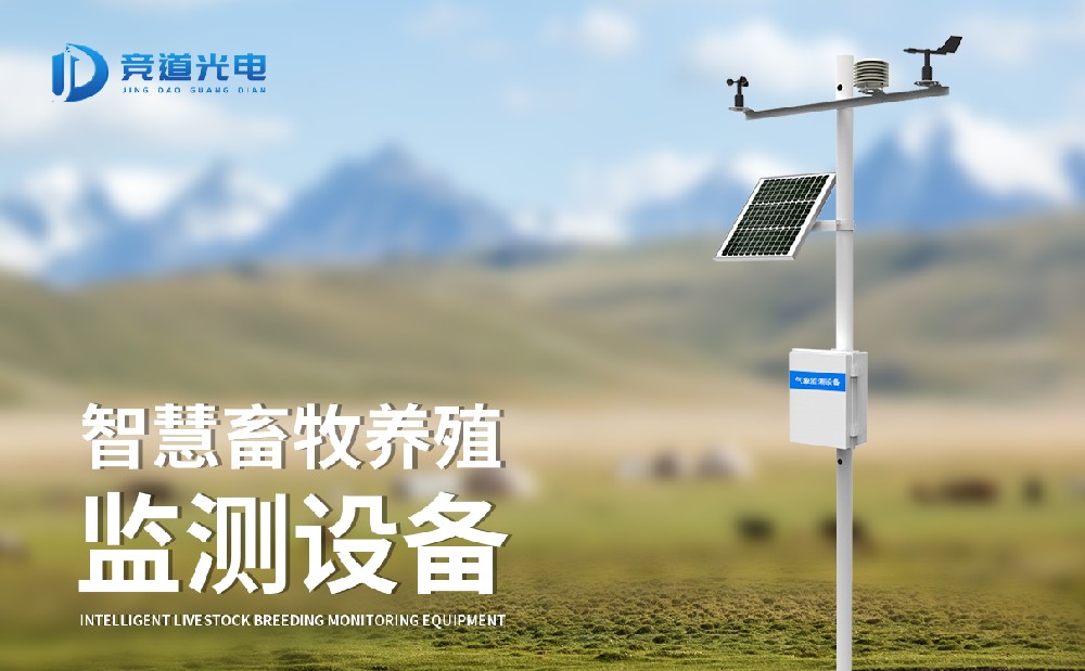 養(yǎng)殖廠氨氣監(jiān)測(cè)儀